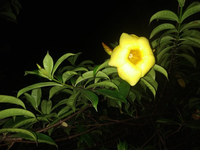 IMG_20220301_212114.jpg