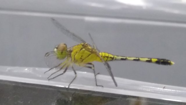 20191114_182716_HDR.jpg
