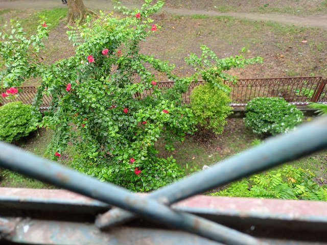 IMG_20240915_122841.jpg