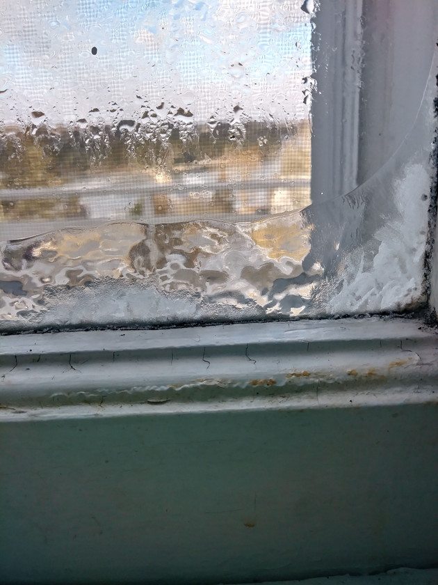 20180203_095514_HDR.jpg