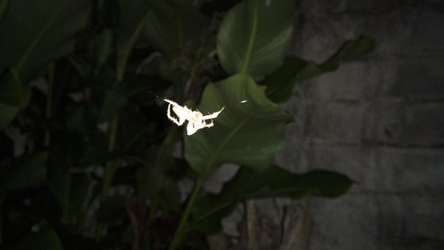 IMG_20191031_210628.jpg