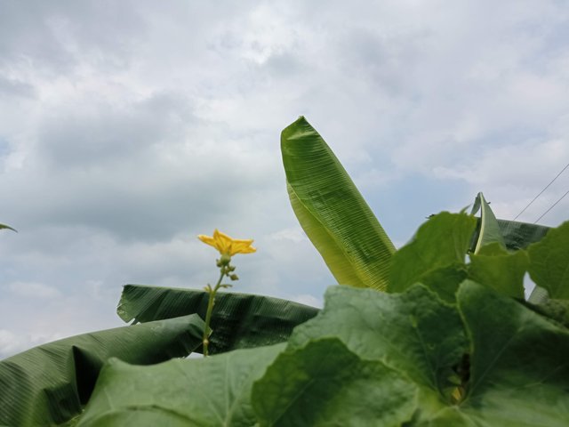 IMG_20220715_112318.jpg