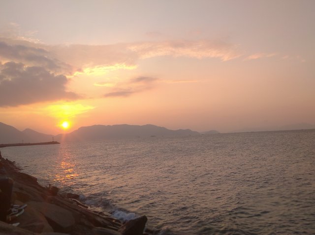 IMG_20200119_183027.jpg