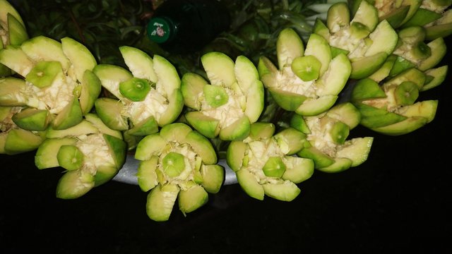 IMG_20220905_184304.jpg