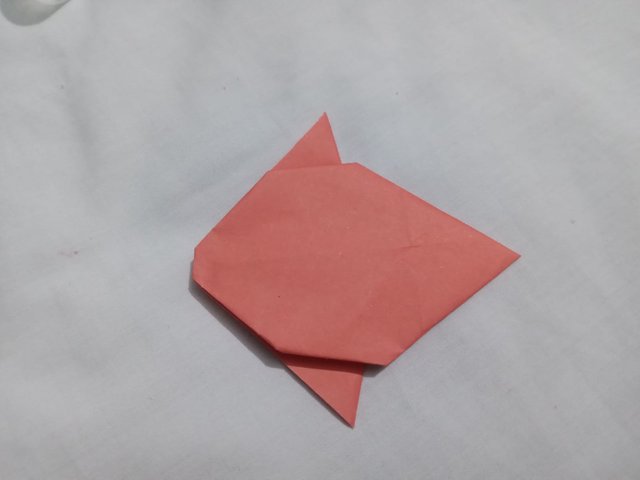 IMG-20231117-WA0012.jpg