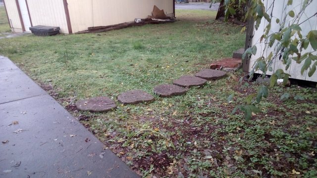 IMG_20181127_131234.jpg