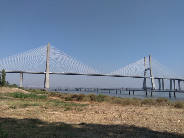 IMG_20180824_130759.jpg