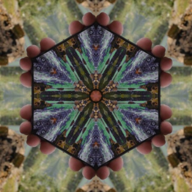 image3A95236_mirror.jpg