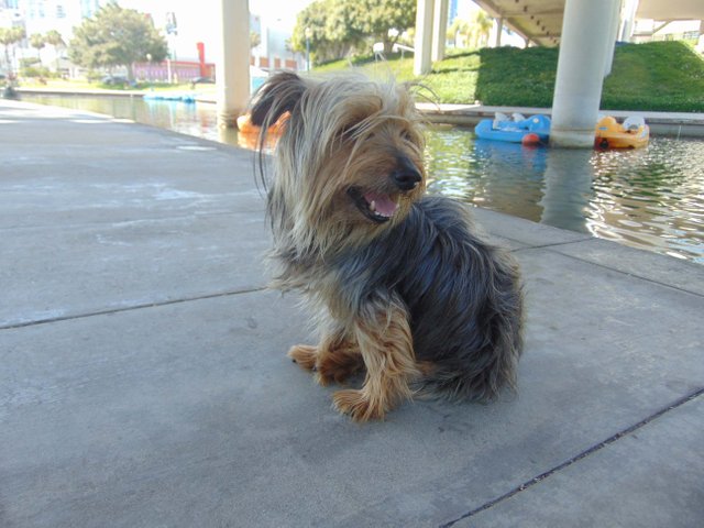 Foster Hey Baby.jpg