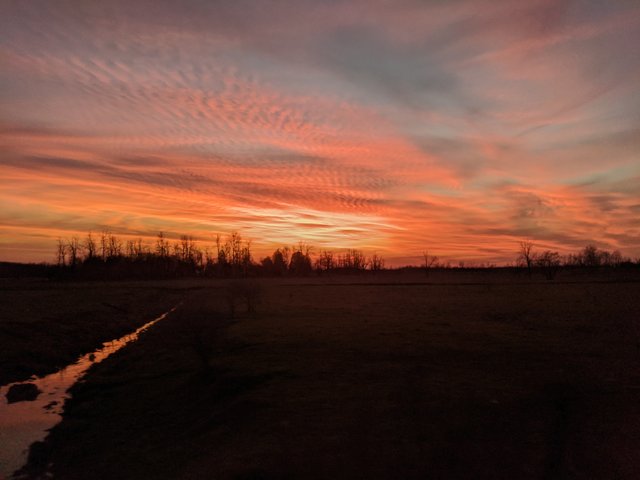 IMG_20201107_165522.jpg