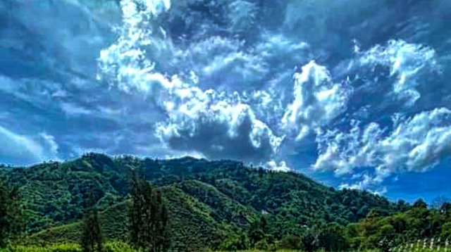 IMG_20230101_151955.jpg
