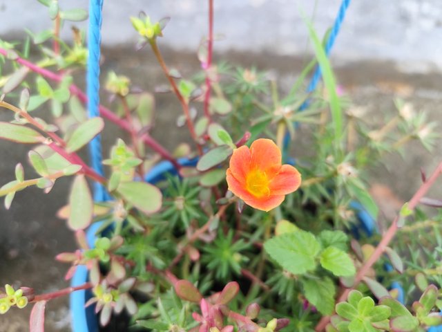 IMG_20250619_121721.jpg