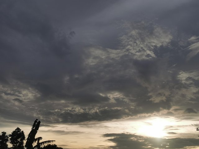 IMG_20240628_181723.jpg