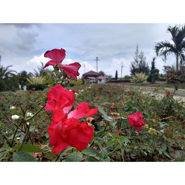 IMG-20190211-WA0035.jpg