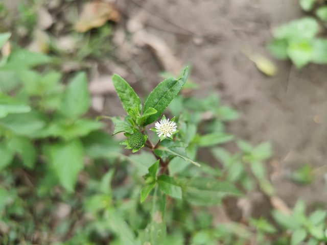 IMG_20250604_091124.jpg