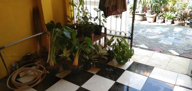 IMG_20201108_084757.jpg