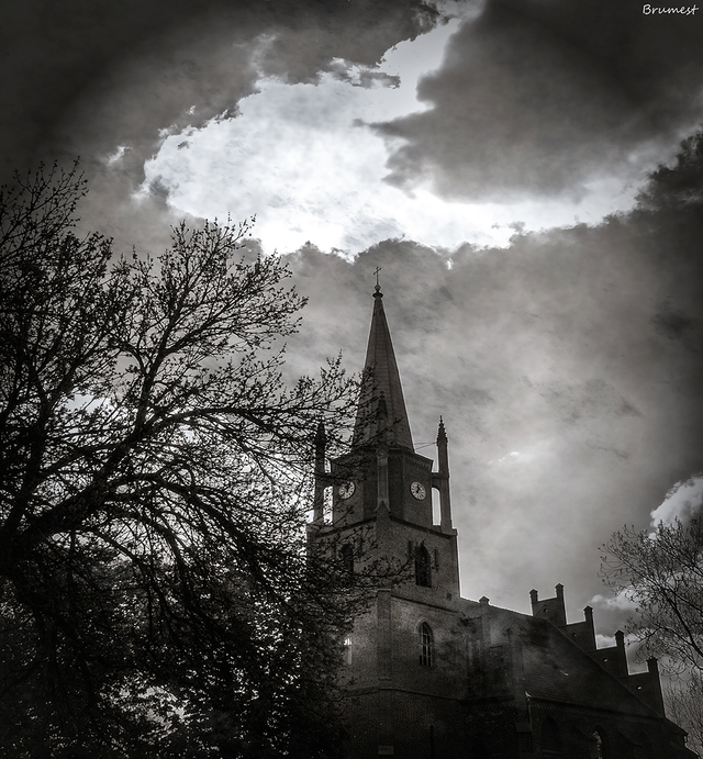 Untitled (2)-3-WE.png