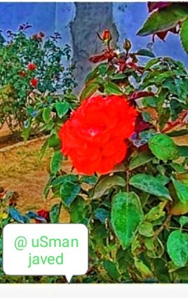 IMG_20211228_101600.jpg