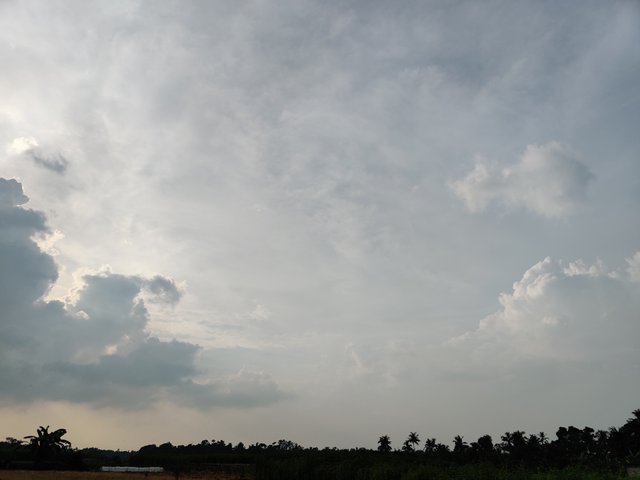 IMG_20200707_170342.jpg