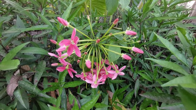 IMG_20240401_172516.jpg