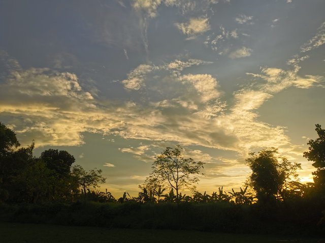 IMG_20240628_183511.jpg