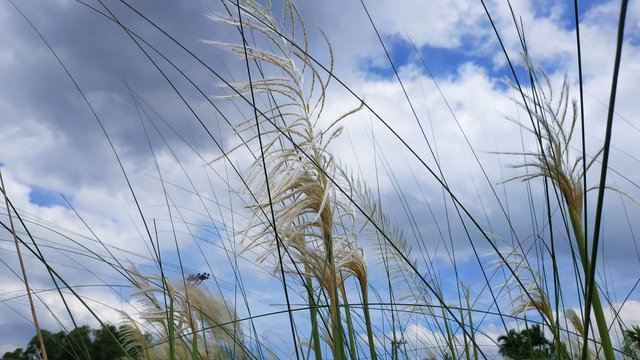 IMG_20220925_092012.jpg
