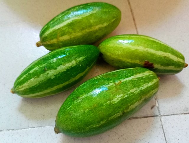 IMG20220820131003~2.jpg