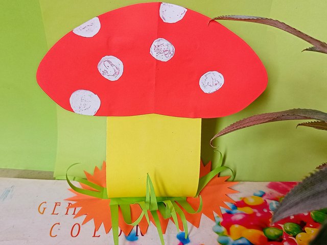 IMG20220810121625~2.jpg