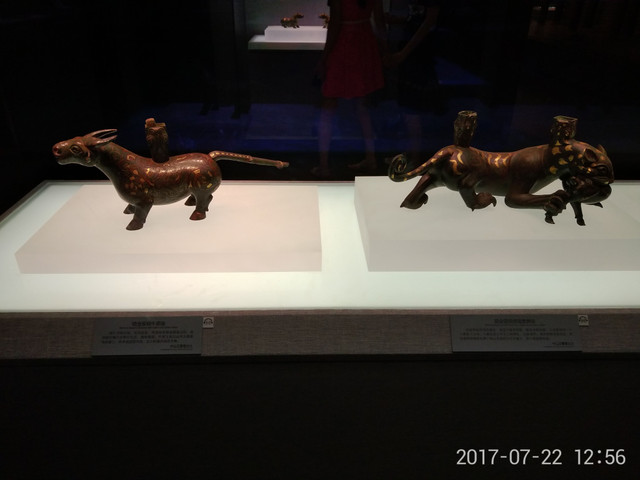 IMG_20170722_125609.jpg