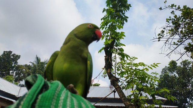 IMG_20220926_130107.jpg
