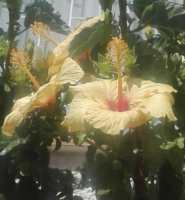 IMG_20191126_143102.jpg