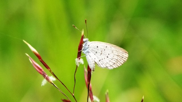 IMG_20180623_165433.jpg
