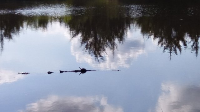 20180515_172229_HDR.jpg