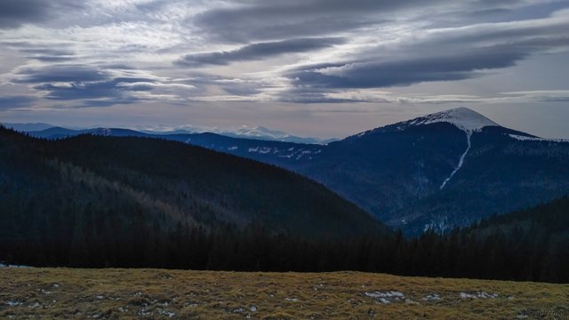 IMG_20170226_121226.jpg