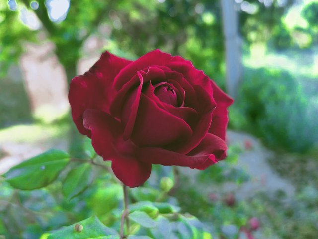IMG_20230711_171837.jpg