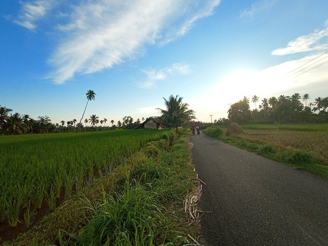 IMG_20200730_173921.jpg