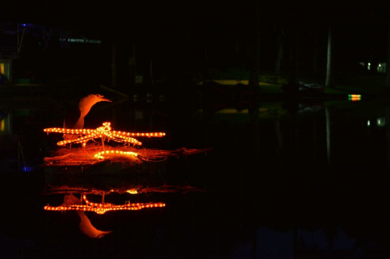 IMG-20131219-WA0005.jpg