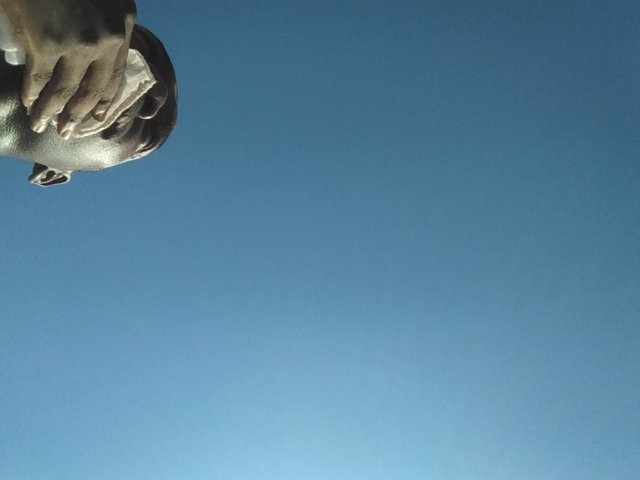 IMG_20191102_155541.jpg