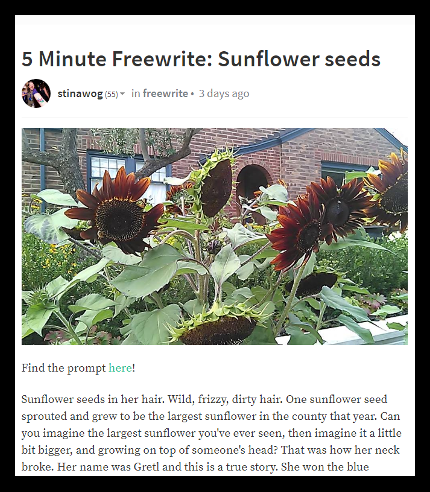 stinawog-sunflowers.png