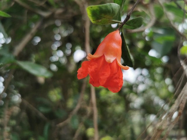 IMG_20240409_140137.jpg