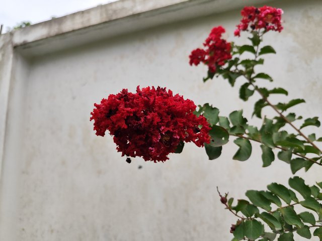 IMG_20250714_180456.jpg