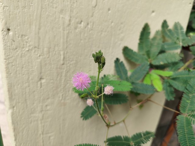IMG_20250715_101101.jpg