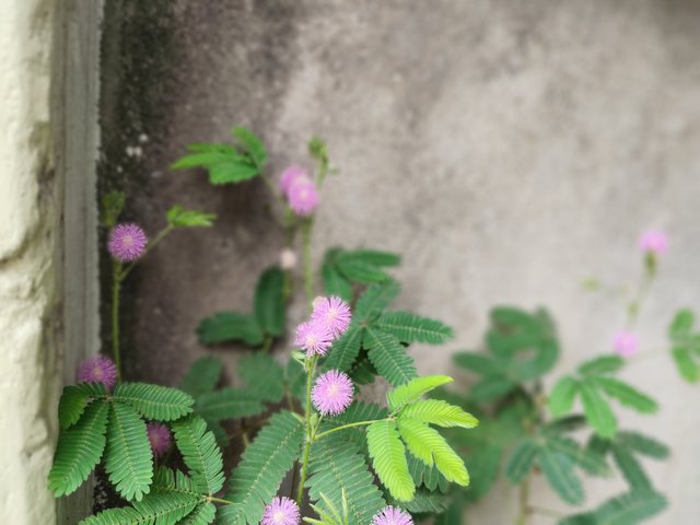 IMG_20250715_101131.jpg