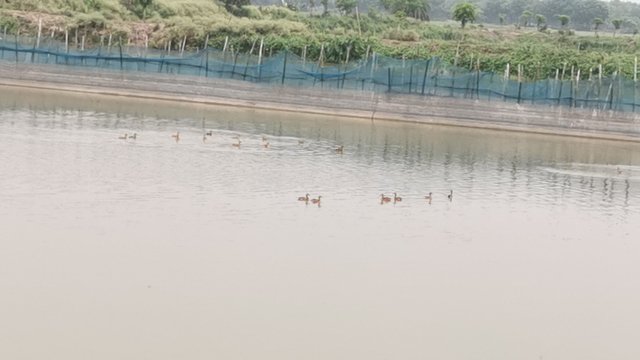 IMG_20240518_120026.jpg