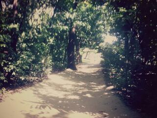 tmp-cam--1187187568.jpg