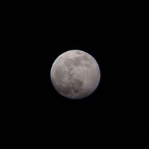 2021-04-26_19-17-22.jpg