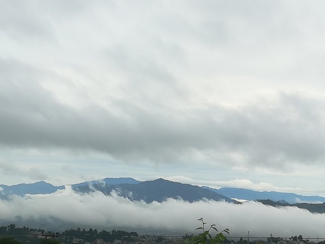 IMG_20200828_083617.jpg