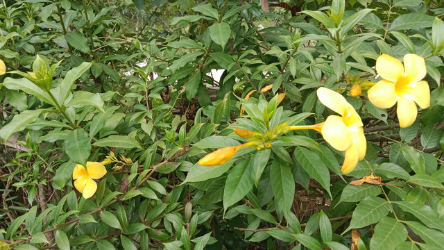 IMG_20260515_154351.jpg