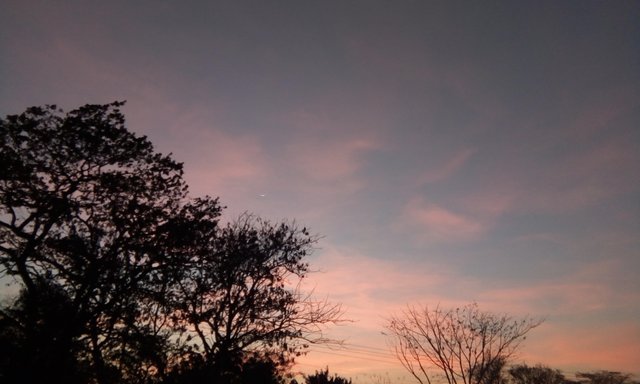 IMG_20190407_184700.jpg