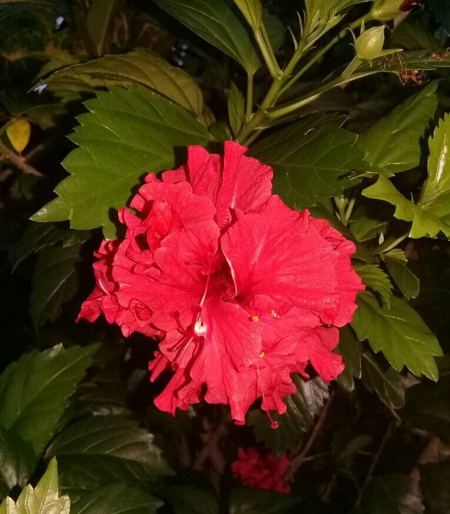 IMG_20181011_003055.jpg